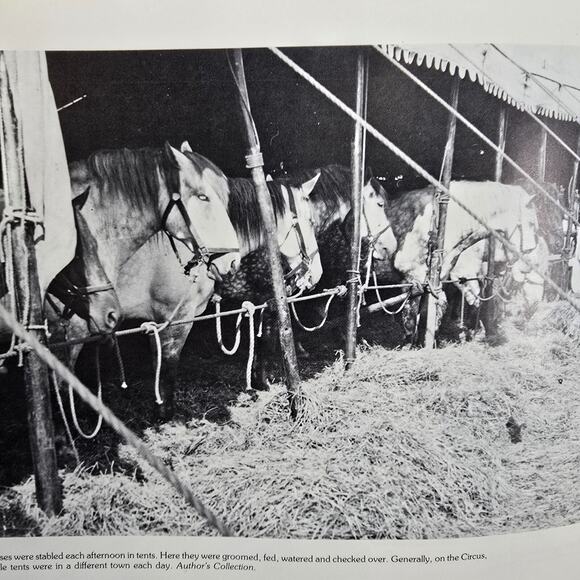Vintage Circus Baggage Stock Percheron Horse Charles Philip Fox HC 1st Ed 1983 - Picture 16 of 16